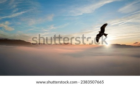 an eagle flying above the blue clouds in the afternoon