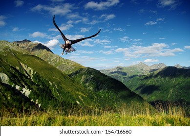 Eagle Flying Above The Mountains