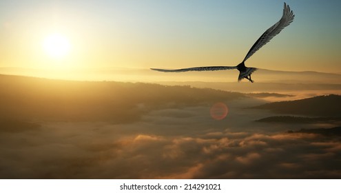 Eagle flying in the clouds at dawn - Powered by Shutterstock