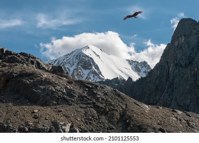 Eagle hovers over the rocks. Atmospheric mountain landscape with great snow-covered pinnacle and snowy pointy peak in blue cloudy sky. 