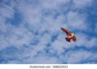 Eagle Kite Flying Blue Sky Day