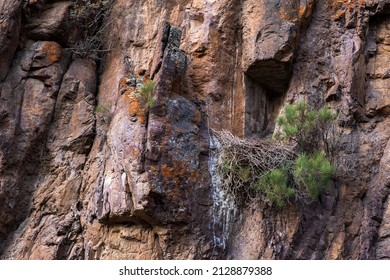 Eagle Nest On Rocky Cliff. Birdwatching Concept.