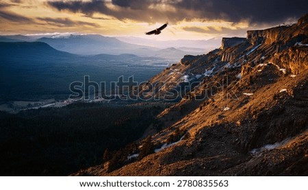 Eagle soaring above cliffs and valleys in dramatic outdoor wildlife environment