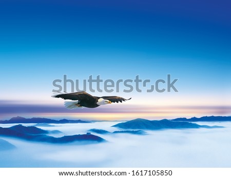 An eagle soaring above the landscape
