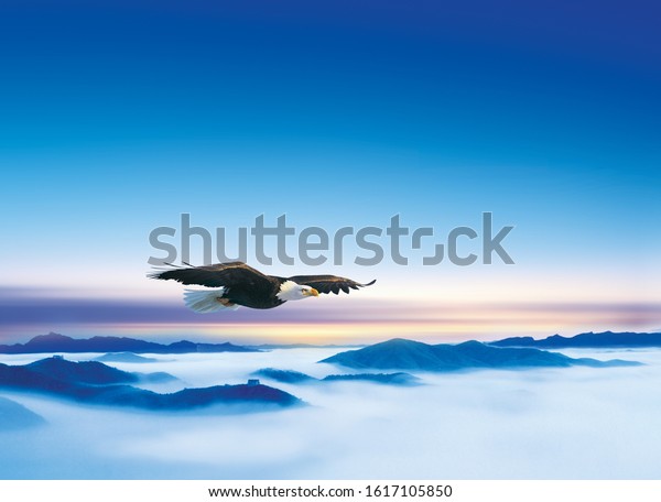 An eagle soaring above\
the landscape