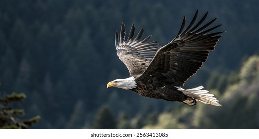 An eagle soaring through the sky, showcasing its impressive wingspan and grace in flight.