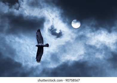 Eagle Soars In The Sky. The Bird Of Prey Soaring In The Stormy Sky