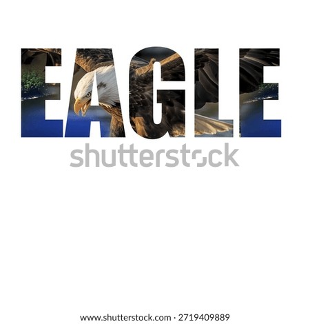 Eagle Typography EmbeddedEagle Eagle desing freedom icon