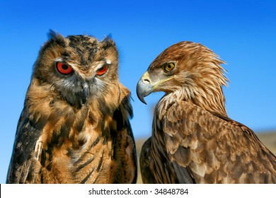 101 Predator vs prey Images, Stock Photos & Vectors | Shutterstock