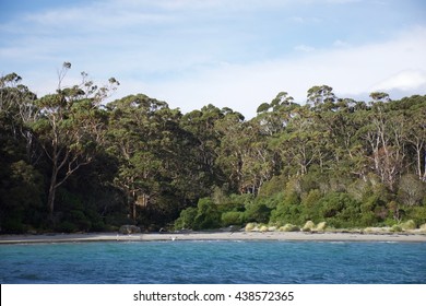 Eaglehawk Neck Beach, Tasmania