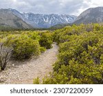 The Eagles Nest Loop and The Spring Mountains Range, Spring Mountains National Recreation Area, Nevada, USA