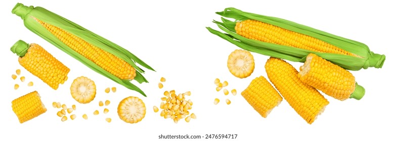 ear of corn isolated on a white background. Top view with copy space for your text. Flat lay