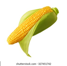 Ear of corn isolated on a white background. Fresh corncob.