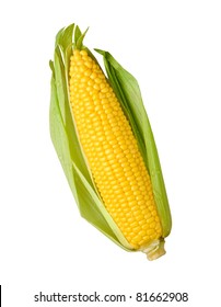 Ear Of Corn Isolated On A White Background