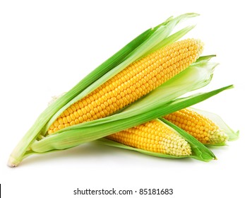 An Ear Of Corn Isolated On A White Background