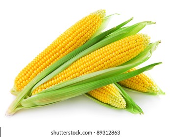 An Ear Of Corn Isolated On A White Background