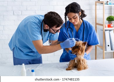 7,027 Ear Infection Doctor Images, Stock Photos & Vectors | Shutterstock