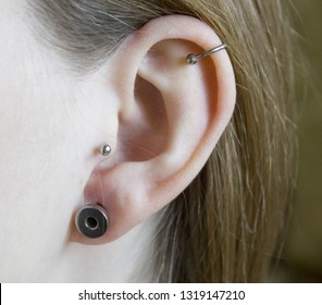 Ear with piercing and tunnel. - Powered by Shutterstock