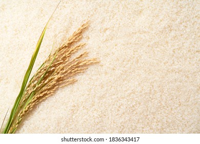 An Ear Of Rice On A Piece Of White Japanese Rice