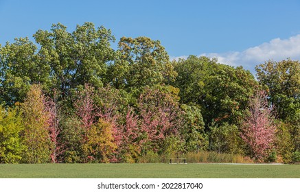 Early Autmn In Canada, A Bright, Sunny  Fall Day With The Leaves In Fall Colours.