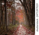 Early autumn along Jesup Path in Acadia National Park in Maine on Mount Desert Island.