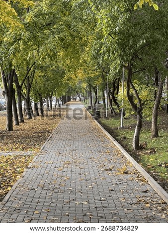 Early autumn. A cobblestone path without people