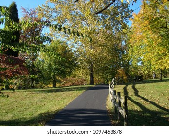 Early Autumn Path