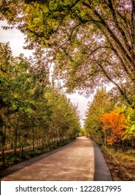 Early Autumn Scene Of Chicago's Bloomingdale Trail, Also Known As The 606, With No People Present. Midwest, Urban Landscape.