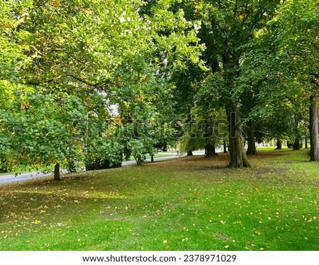 Early autumn scene, with old trees, fallen leaves, and sloping grassland, leading to the the pathway in, Lister Park, Bradford, UK