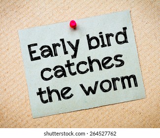 Early bird catches the worm Message. Recycled paper note pinned on cork board. Concept Image