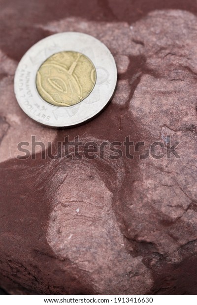 An early Cambrian stromatolite is preserved as wispy\
light layers in the red, calcareous mudstone of the Bonavista\
Formation of Newfoundland’s Avalon zone.  A Canadian coin is used\
for scale. 