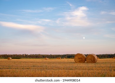 Early Evening In The Countryside, Farm Field, Harvest Time, Hay Bales Between Stubbles. White Moon On The Blue Sky, Night Slowly Changes The Day.