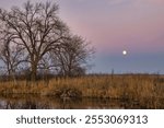 Early evening landscape of the full moon rising above Horicon Marsh on a late November day in Southern Wisconsin.