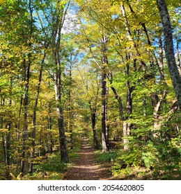 Early Fall Colors In Central Massachusetts