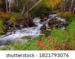 Early fall colours glow along the banks of a creek near the Ingraham Trail in Canada