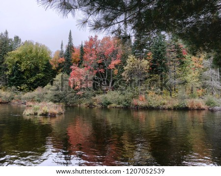 Early fall foliage and colours with diffuse reflection in water