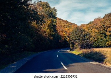 Early Fall Scenery In The Mecsek Woodlands Near Pécs, Hungary