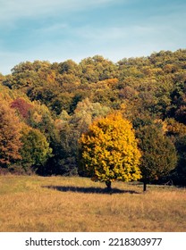 Early Fall Scenery In The Mecsek Woodlands Near Pécs, Hungary