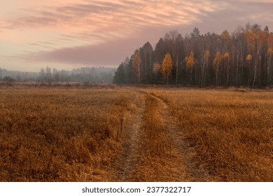 Early foggy morning. A dirt road to a harvested yellow field and a forest in the distance in a foggy haze. - Powered by Shutterstock