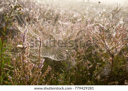 Similar – Image, Stock Photo antisnow army