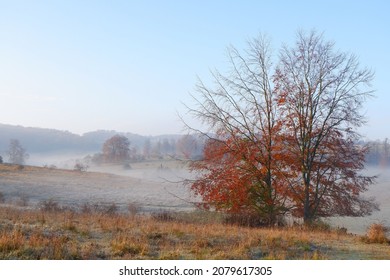 An early misty morning at Tring Park, in Hertfordshire, England, on a sunny autumnal day.
