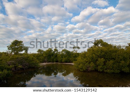 Early moning cloudscape over Ding Darling National Wildlife Refuge on Sanibel Island, Florida in winter.