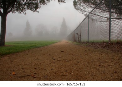 Early Morning Fog And Path Along Dog Park Fence