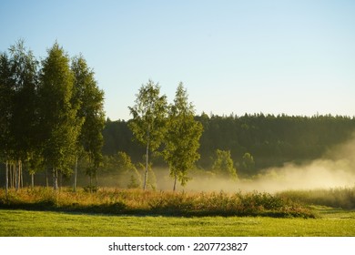 Early Morning Foggy Nature Landscape