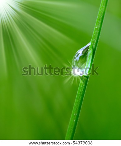 Similar – Image, Stock Photo unfold Aquatic plant