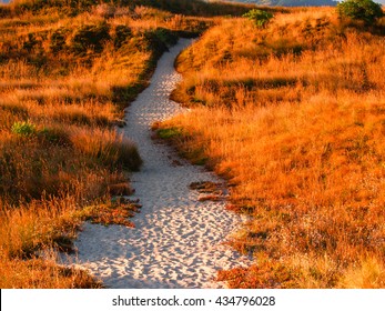 Early Morning Golden Glow Path Through Sand Dunes At Papamoa Beach Mount Maunganui New Zealand