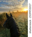 Early morning horse ride with sun rise in the back ground.