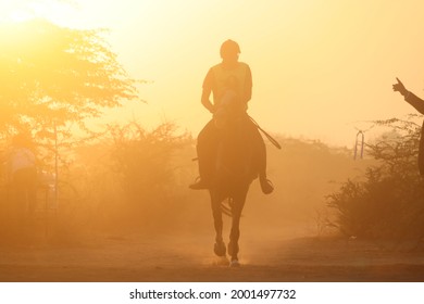 Early morning horse riding with nature - participant in endurance  horse game  - Shutterstock ID 2001497732