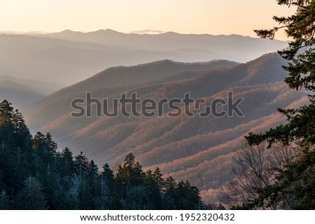 Early morning just after sunrise in the Blueridge mountains. 