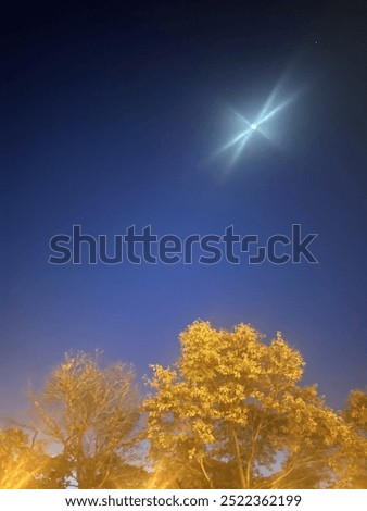 Similar – Cherry blossom at night